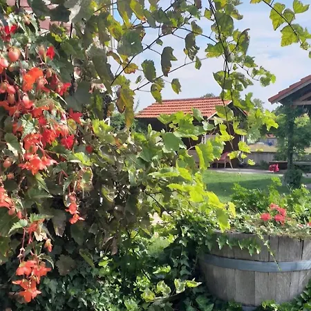 Holiday Smitske Holiday home *