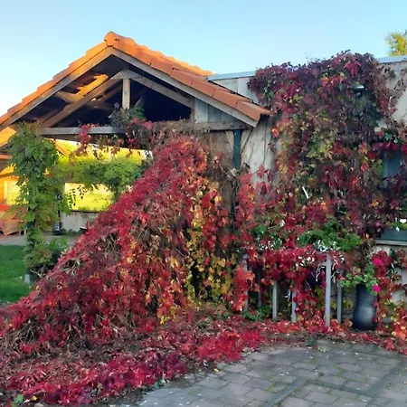 Holiday home Holiday Smitske Soerendonk