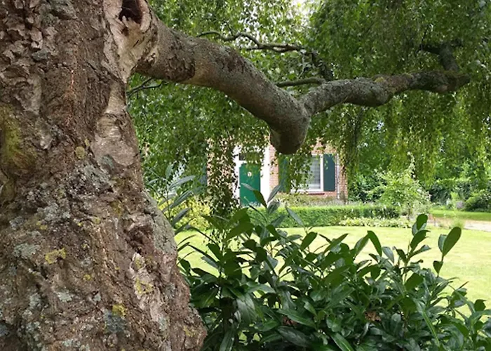 In With Garden * Soerendonk