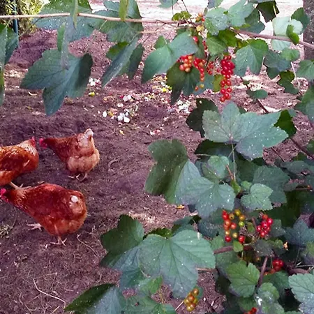 In With Garden Casa de Férias Soerendonk